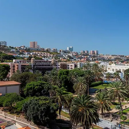 Hotel Occidental Palmas